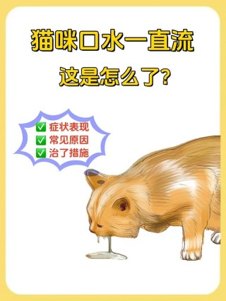 猫咪睡觉流口水，猫咪睡觉流口水粘稠口臭？