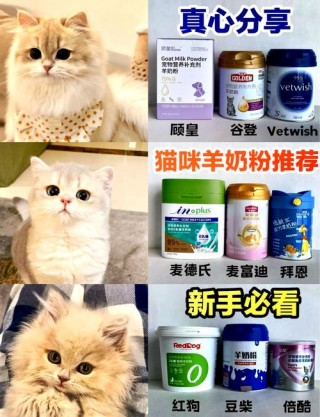 猫咪能喝羊奶吗？猫咪喝羊奶吗好吗（最新）