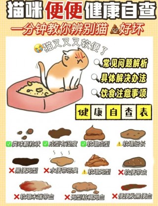 猫咪多久上厕所，猫咪多久驱一次虫合适？