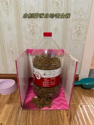 自制猫咪自动喂食器，猫自动喂食器 自制？