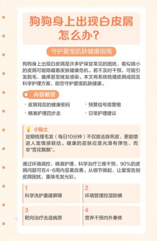 狗狗身上掉皮屑怎么办，（狗狗身上掉皮屑是什么原因）