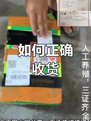 什么快递可以寄狗狗，（什么快递能寄小狗）