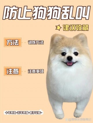 狗狗见人就叫怎么制止？狗子见人就叫唤怎么办（最新）