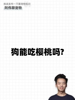 狗狗可以吃桃吗，（狗狗能吃桃吗不能吃什么水果）