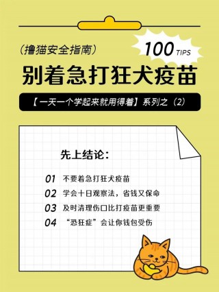 猫咪要不要打狂犬疫苗？猫需要打狂犬疫苗针吗（最新）