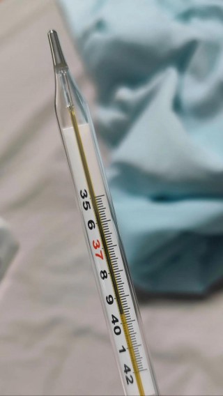 狗狗烧到40度怎么办？狗狗高烧40度（最新）