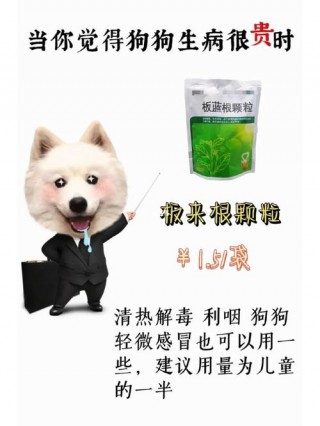 狗狗可以用红霉素软膏吗，（狗狗可以涂红霉素药膏吗）