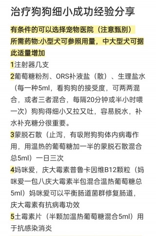 狗狗得细小的治疗方法？狗狗得细小病怎么治疗（最新）