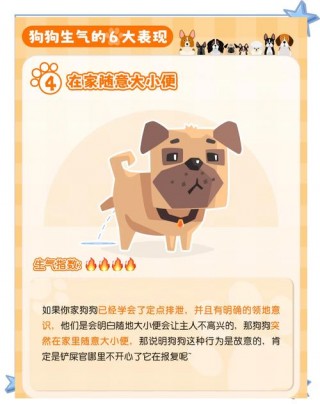 狗狗不开心的表现？狗狗不开心的表现怎么办（最新）