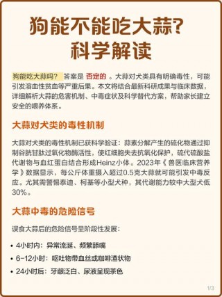 狗狗能吃大蒜吗，狗狗能吃大蒜吗为什么？