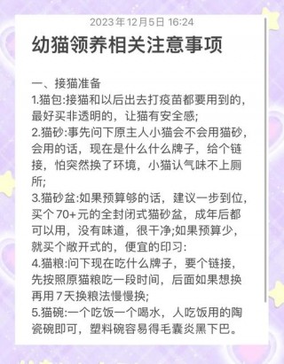 领养猫咪需要注意什么，（领养猫咪需要注意的4个问题）