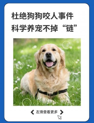 狗狗嫉妒心太强怎么办，狗的嫉妒心怎么消除？