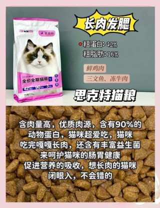猫咪可以吃薯条吗？猫咪吃薯条吗会死吗（最新）