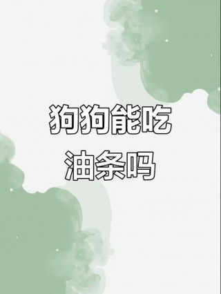 狗狗能吃油条吗？小狗可以吃油条吗?（最新）