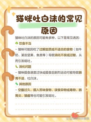 猫咪吐白沫不吃东西，（猫咪吐白沫不吃不喝没精神）