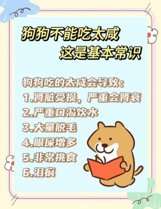 狗狗可以吃咸的东西吗？狗狗吃太咸的5个现象（最新）