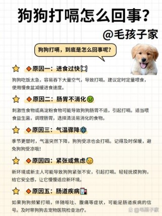 狗狗打饱嗝怎么回事啊，狗狗打饱嗝正常吗？