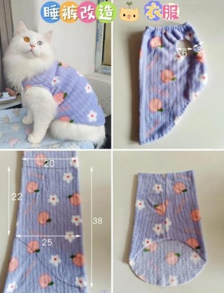 猫咪的衣服怎么织，（猫咪衣服怎么织棒针）