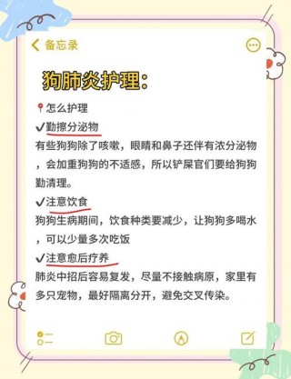 狗狗咳血痰是怎么回事，狗狗咳痰有血？