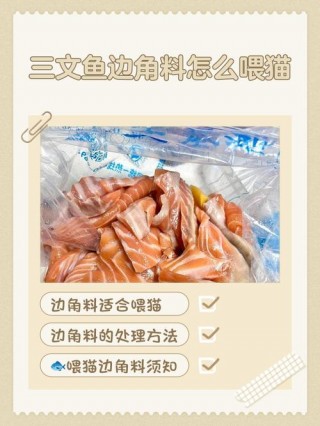 猫咪能吃三文鱼吗？猫咪可以吃三文鱼嘛（最新）