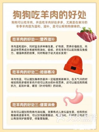 狗狗能吃羊肉吗？狗狗能吃羊肉吗?喝骨头汤行吗?（最新）