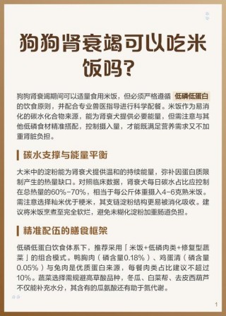 狗狗能吃大米吗？狗能吃大米饭嘛（最新）
