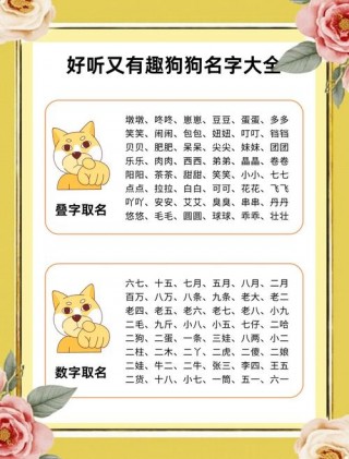 怎么让狗狗知道自己的名字？如何让狗狗知道自己的名字（最新）