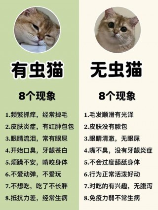 猫咪怀孕可以驱虫吗？猫咪怀孕期间能驱虫吗（最新）