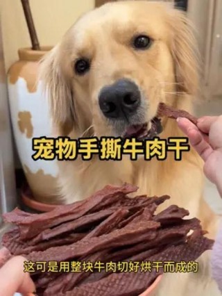 狗狗可以吃牛肉干吗，（狗能吃牛肉干嘛）
