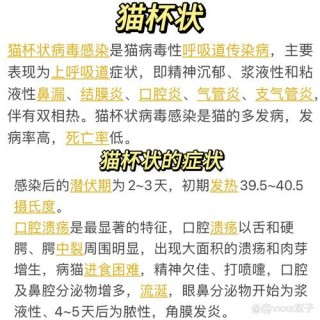 猫咪上呼吸道感染症状？猫咪上火的症状（最新）