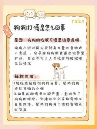 狗狗老打嗝怎么办？狗狗老打嗝怎么办啊（最新）