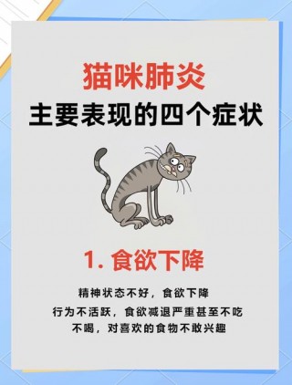 猫咪上呼吸道感染症状，（猫咪上火的症状）