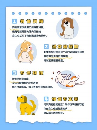 狗狗驱虫多少钱一针？狗狗驱虫价钱（最新）