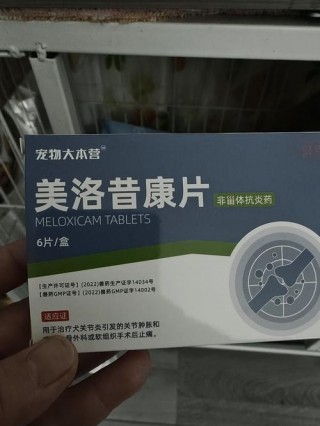 狗狗骨折了吃什么药？狗狗骨折吃什么药消炎（最新）