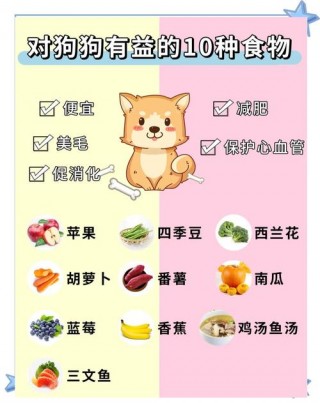 狗狗吃什么零食比较好，（狗狗吃什么牌子的零食比较好）