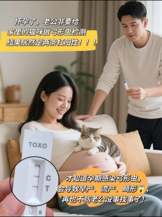 怀孕期间可以养狗狗吗，怀孕期间能否养狗狗？