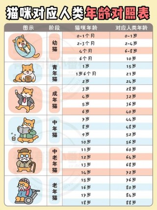 猫猫几岁成年？猫几岁成年呢（最新）