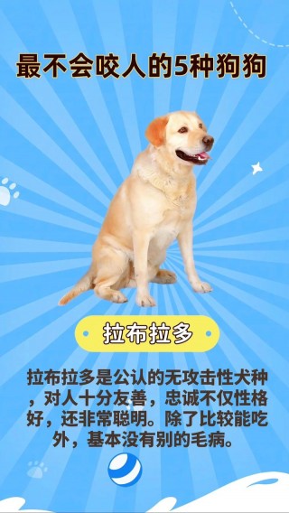 狗狗剪毛咬人怎么办？狗狗剪完毛后很凶咬人（最新）