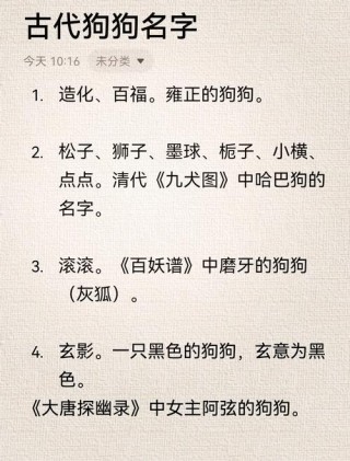 给狗狗起什么名字好，（给狗狗起什么名字好养活）