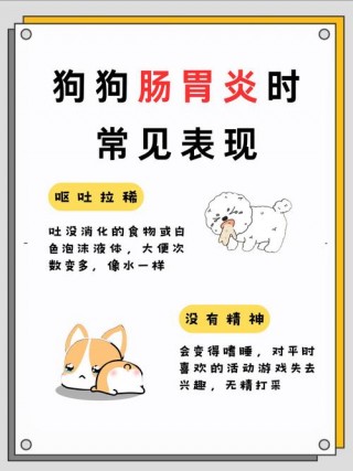 狗狗肠炎的症状，（狗狗肠炎怎么治疗好得快）