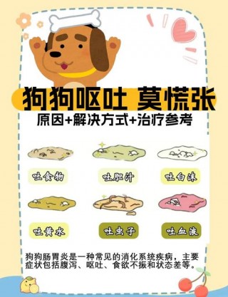狗狗结肠炎的症状？狗狗结肠炎的症状有哪些症状（最新）