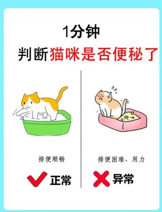 猫咪便秘怎么办？猫咪便秘怎么办?（最新）