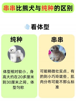 如何分辨狗狗品种，怎么区分狗品种？