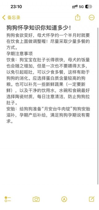 狗狗怀孕能吃鸡肉吗？狗怀孕可不可以吃鸡肉（最新）