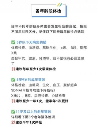猫咪做体检大概多少钱，猫咪体检一般需要多少钱？