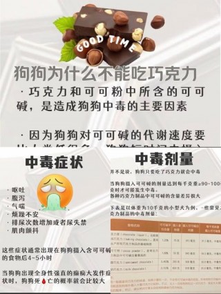 狗狗吃了巧克力会怎么样？狗狗吃了巧克力会怎么样呢（最新）