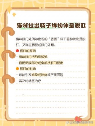 猫咪拉出绦虫是否很严重，猫咪拉绦虫吃什么药？