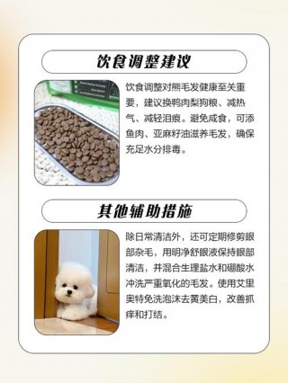 白毛狗狗发黄洗白妙招，（比熊黄毛变白最快方法）