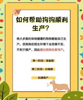 狗狗刚生完小狗注意事项，狗狗刚生完小狗注意事项和饮食？