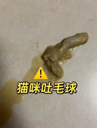 猫咪吐毛球怎么办？猫咪吐毛球吐黄水怎么办（最新）
